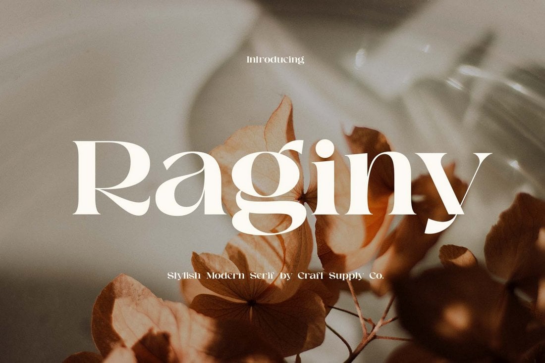 Raginy - Kostenlose stilvolle Serifenschriftart