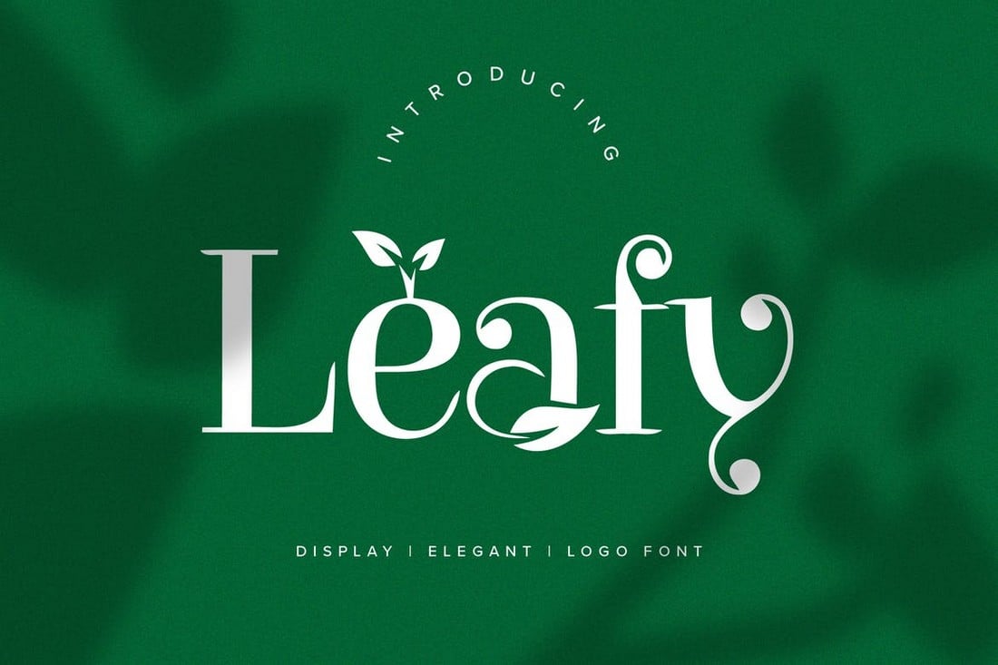 Leafy - Natur Logo Schriftart