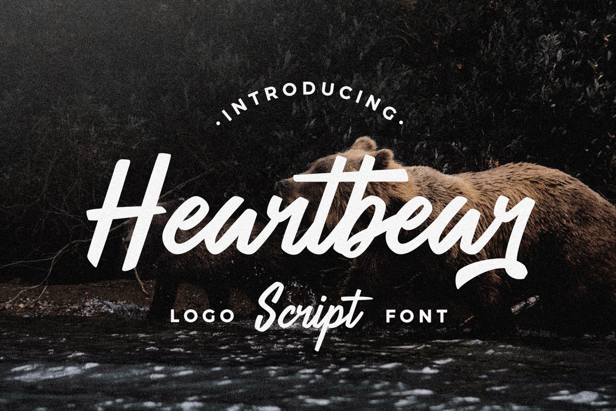 best font for logo